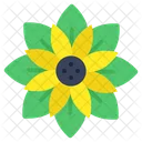 Flower Floweret Blossom Icon