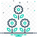 Flower  Icon