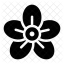 Flower  Icon