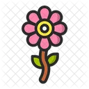 Flower  Icon