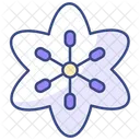 Flower Nature Plant Icon