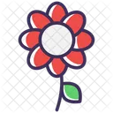 Flower  Icon