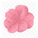 Flower  Icon