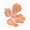 Flower  Icon