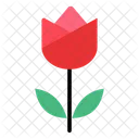 Flower  Icon