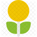 Flower Plant Bloom Icon