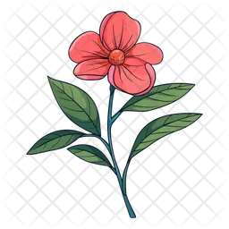 Flower  Icon