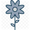 Flower Plant Floral Icon