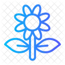 Flower Flowers Plant Icon