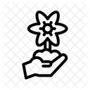Flower  Icon