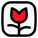 Flower Image Frame Icon