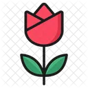 Flower  Icon