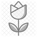 Flower  Icon