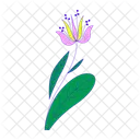 Flower  Icon