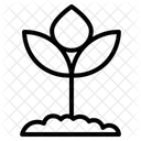 Flower  Icon