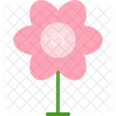 Flower  Icon