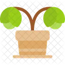 Flower Floral Arrangement Icon