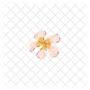 Flower Frangipani Plumeria Icon