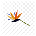 Exotic Flower Colorful Icon