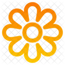 Flower  Icon