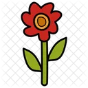 Flower Peony Flower Garden Flower Icon