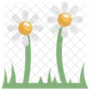Daisy Flower Nature Icon