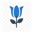 Flower  Icon