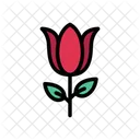 Flower  Icon