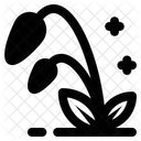 Flower  Icon