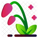 Flower Spring Leaf Icon