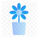 Flower  Icon