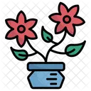 Flower  Icon