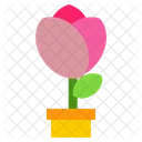 Flower  Icon