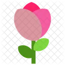 Flower  Icon
