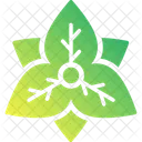 Flower  Icon
