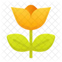 Flower  Icon
