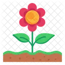 Flower  Icon