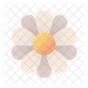 Flower  Icon