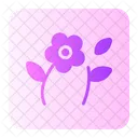 Flower  Icon