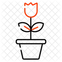 Flower  Icon