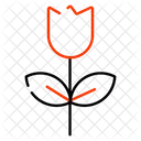 Flower  Icon