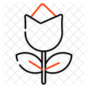 Flower  Icon