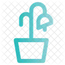 Flower  Icon
