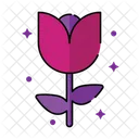 Flower  Icon