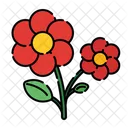 Flower  Icon