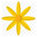 Flower  Icon