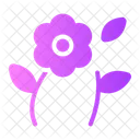 Flower  Icon