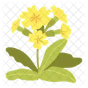 Flower  Icon