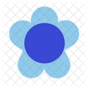 Flower  Icon