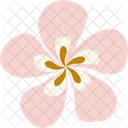 Flower Blossom Flowers Icon